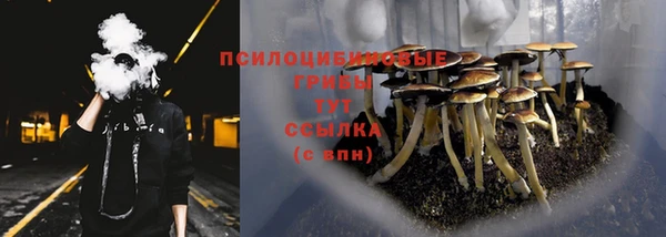 крисы Бугульма