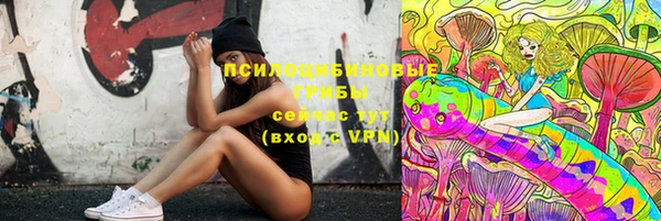 крисы Бугульма