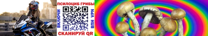 Купить закладки  Луга  Галлюциногенные грибы мухоморы 